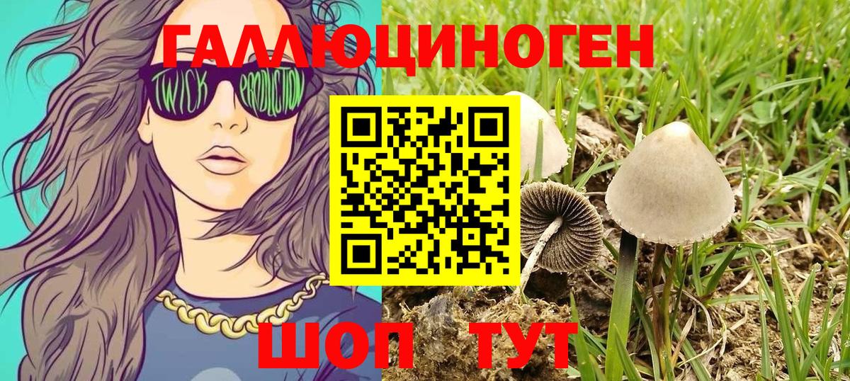 Уссурийск  где найти наркотики  Галлюциногенные грибы GOLDEN TEACHER  Вход с VPN  Галлюциногенные грибы MAGIC MUSHROOMS 